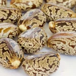 Castor-bean-seeds-oil-cakes