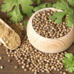edible-gardening-101-harvesting-coriander-seeds-2-corriander-seeds-leaves-powder