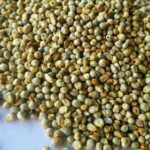 green-millet-seeds-1585807507-5354471