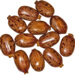 ricinus_communis_seeds_HZell